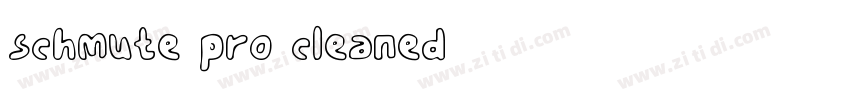 schmute pro cleaned字体转换